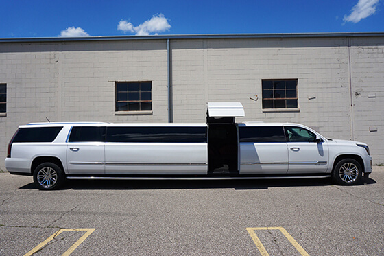 20 passenger limo